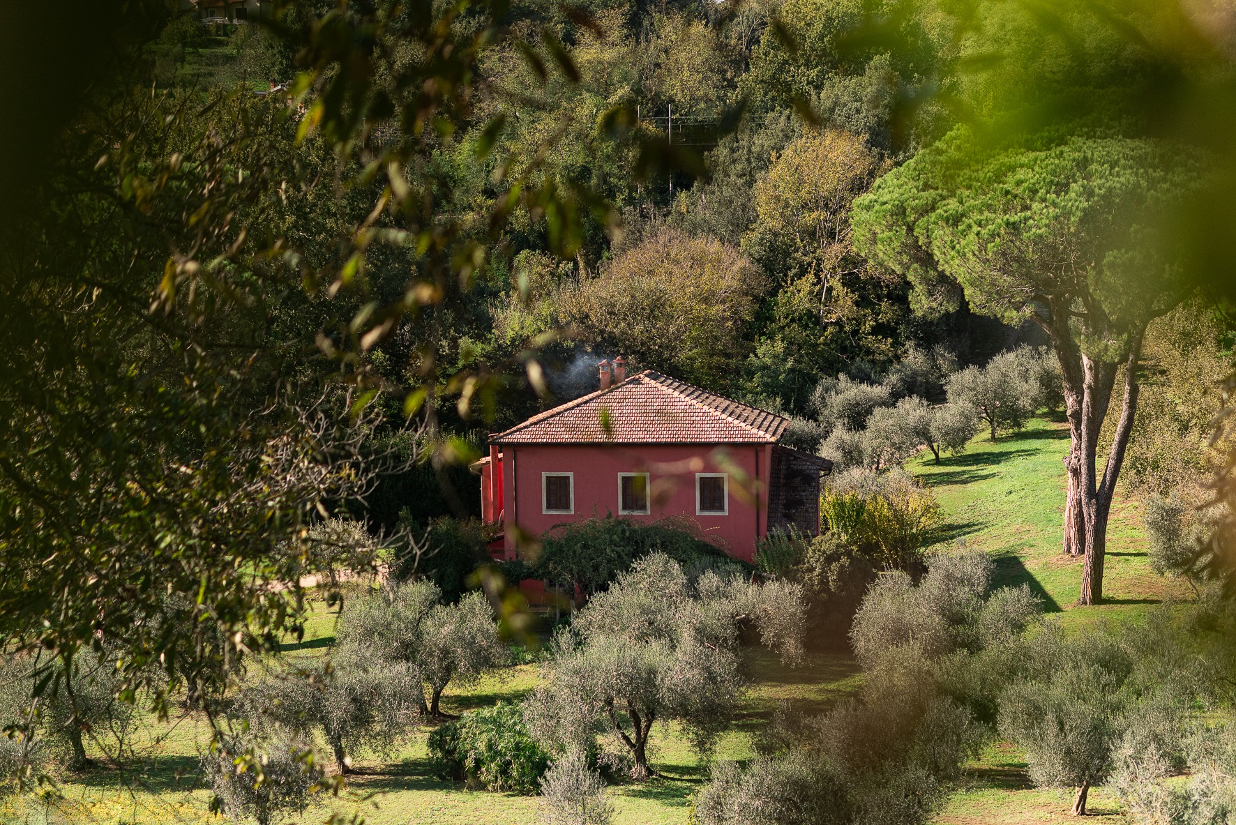 Villa Flavia